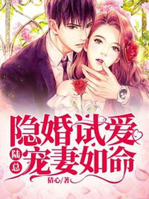 隐婚试爱:陆总宠妻如命